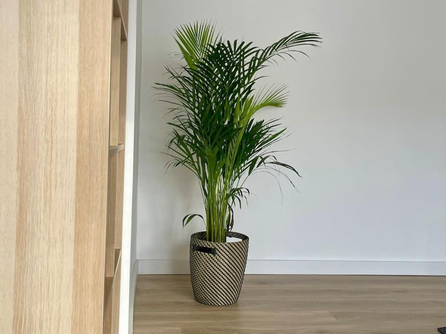Appartement 73M2 - 2 Chambres - Parking - Wi-Fi Toulouse Exterior photo